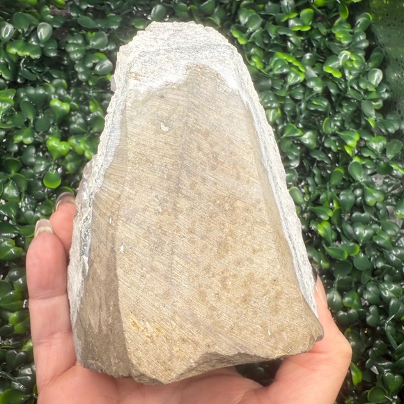 Beautiful Angel Aura, Light Purple Amethyst Cut Base Cluster - Picture 7 of 8